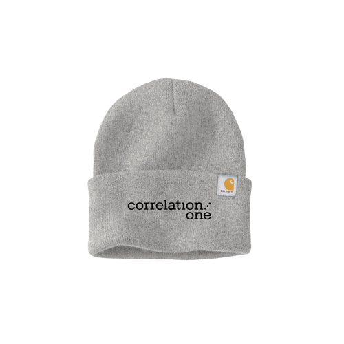 Carhartt Winter cap - Heather Grey (Listing ID:740283516)