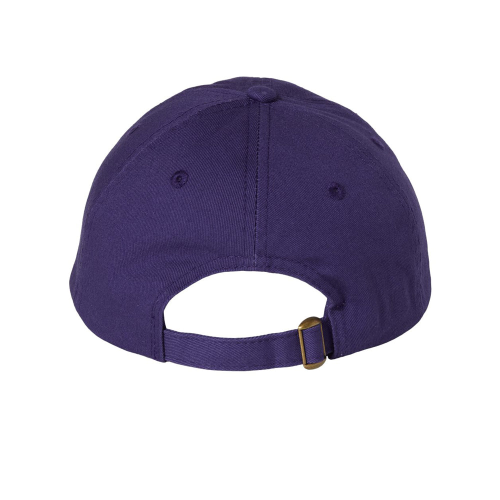 Adult Bio-Washed Classic Dad Hat
